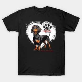 My Valentine Has Paws Dachshund Valentine’s Day T-Shirt